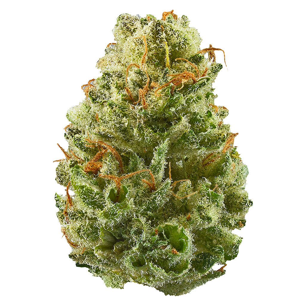 Potluck - Strawberry Cough - Strawberry Cough 7g Dried Flower